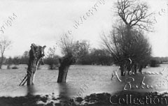 Esher Road - meadows in flood