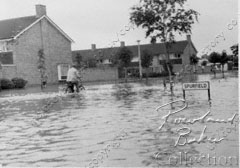 Kelvin Brook / Spurfield