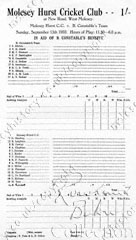 Molesey Hurst Cricket Club - benefit match