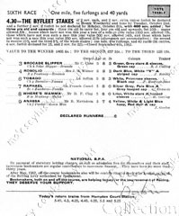 Hurst Park Racecourse - racecard