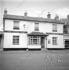 The Royal Oak