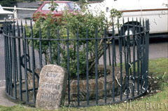 Boleyn's Well, Carshalton