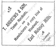 Andrews Advertisement