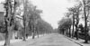 Wolsey Road