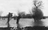 Esher Road - meadows in flood