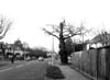 Esher Road