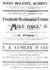 Mole Lodge sale catalogue